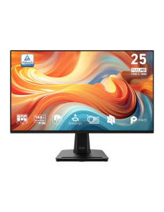 MSI 24.5 PRO MP251 E14L